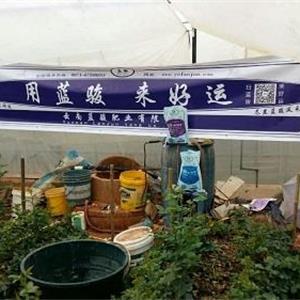 《藍(lán)駿大量元素水溶肥》12月8日花棚實(shí)驗(yàn)地已完成